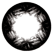 Maxlook G6 Black Contact Lenses /251