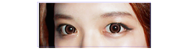 Xtra WI-A24 Brown /005 ,contacts