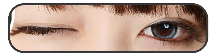 [16mm ] VASSEN Eva Original EO  Gray  /615,contacts 