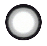 Xtra Gray Contact Lenses
