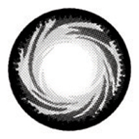 B400 Gray Contact Lenses