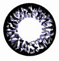 J4  Violet Contact Lenses