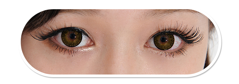 Dueba E21 Brown Contact Lenses /231