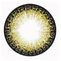 DM23   Brown Contact Lenses